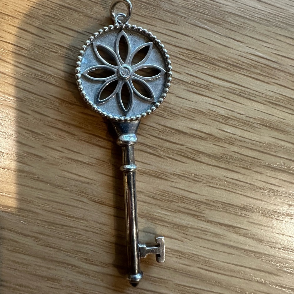 Tiffany & CO. Silver and Dimond Daisy Key Pendant with Beaded Design - Picture 7 of 8